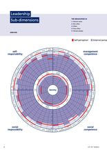 Lade das Bild in den Galerie-Viewer, VAL 361° FEEDBACK-SCAN für Führungskräfte