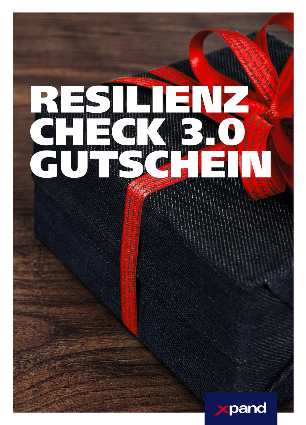 Geschenk Gutschein: Resilienz Check 3.0 (M)